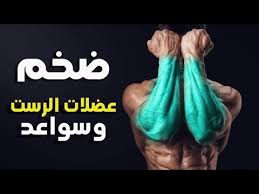 New Video By مهووس عضلات كمال الاجسام On Youtube تمارين تضخيم الساعد تمارين ساعد اليد تمارين السواعد بالصور المتحركة تمارين السواعد في البيت تمارين السواعد