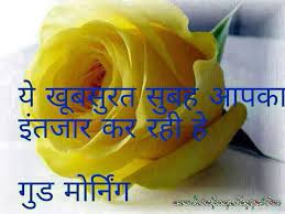 2.4 shayari good morning images for free download. Recklessly Good Morning Flowers Images Free Download For Whatsapp Video