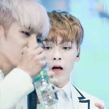 Chwe Hansol Roach (@roach_hansol)