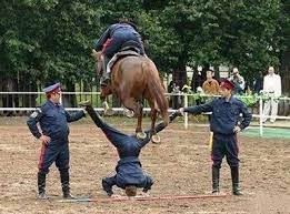 'harry's remarks about his father, i simply fail to understand. Video Du Jour Human Pyramid Horse Jump Fail Horse Nation