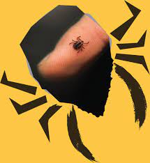 Horowitz discusses ways to lower inflammation, repair damage, and detoxify, as well as to improve health through food, getting adequate sleep, and exercise. Lea Be Tick Aware En Linea