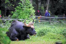 Check spelling or type a new query. Melaka Zoo Tickets Price 2021 Promotions Online Discounts