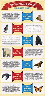 The Top 7 Most Critically Endangered Species Go To Http Tonyfreemanuk Tumblr Com Post 12112160514 Critically Endangered Species Endangered Species Endangered