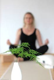 Let us journey through the first five yamas in the eight limbs of yoga to find the answer. Leben Yoga Saves My Day Ein Giveaway Fur Dich Emma Bee