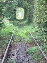 Toate de vizitat în lume de vizitat în românia obiective turistice din lume obiective turistice din românia. DescoperÄ CaransebeÈ Èi Imprejurimile Caransebes Impresii PÄreri RecomandÄri DescoperÄ CaransebeÈ Èi Imprejurimile Amfostacolo Amfostacolo
