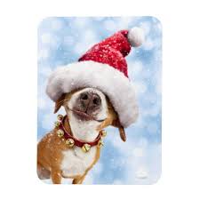 Maybe you would like to learn more about one of these? Dog With Big Santa Hat Magnet Zazzle Com In 2021 Christmas Dog Christmas Animals Cute Animals