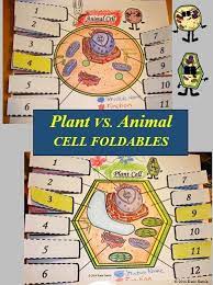 Check spelling or type a new query. Featured Products Teaching Biology Biology Classroom Science Cells