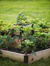 A diy raised planter box is ideal for anyone who is short of space in their garden or doesn't have the space to plant anything on the ground. Indoor Or Outdoor Planters For Flowers Herb 3 3 4 Feet High 5 Tiered Raised Garden Box Vegetables Or Seeds Vertical Garden Planter Gardening Patio Lawn Garden Fcteutonia05 De