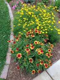 Pin On My Yard