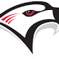 Florida College Athletics Camp