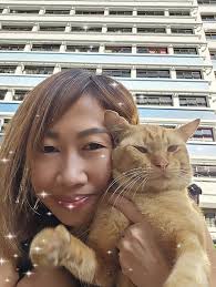 Rescuing and finding a forever home for a stray cat in Singapore