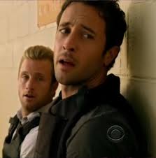 Anatomy of a Bromance -The Mystique of Hawaii 5-0's Steve and Danno