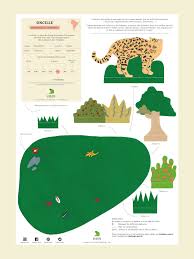 L Oncille Et Son Habitat Un Jeu Pour Les Enfants Jeu Pedagogue Made In France Diorama Habitat Des Animaux Animaux Rares