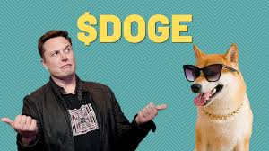 Dogecoin started its life in late 2013 as a satirical and fun equivalent to existing cryptocurrencies such the project also featured the playful comic sans typeface throughout its website. The Dogecoin Video You Ve Been Waiting For Youtube