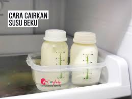 Susun saja ikan yang sudah bersih di dalam wadah dengan rapi. Cara Cairkan Dan Panaskan Susu Ibu Cozy Lady
