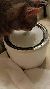 We also enjoy working with consulting veterinarians, such as a traveling orthopedic surgeons and specialists located at the university of. Family Pet Hospital Home Facebook