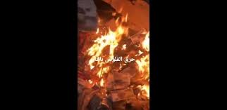 تفاصيل جديدة عن مصور فيديوهات «كائن الهوهوز». C65ylvptmueykm