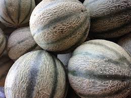 Скачивай и слушай billie eilish lovely и billie eilish lovely galpe remix на zvooq.online! Melons For Small Gardens And Containers 5 Easy To Grow Mini Melons