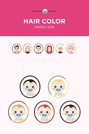 what color hair will my baby have baby hair color predictor