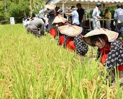 鵜戸神宮祭典的圖片