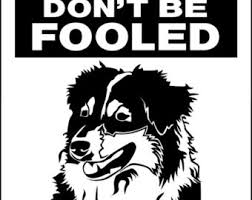 A link back to my deviantart account is appreciated but not required). Australian Shepherd Dog Quotes Quotesgram