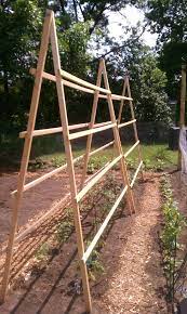 Think I May Do A Trellis Like This For The Tomatoes Tomato Trellis Tomato Garden Garden Vines