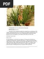 Image result for Eriosema rhynchosioides