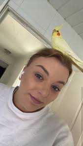 PLEASE HELP!!! If anyone sees a yellow cockatiel her name is Rosie! She got  spooked and flew towards tannochside area in uddingston . If you see her  please try catch her she's