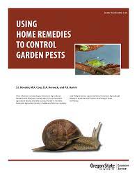 It effectively regulates the ph in the body, as we know that a large. Pdf Using Home Remedies To Control Garden Pests