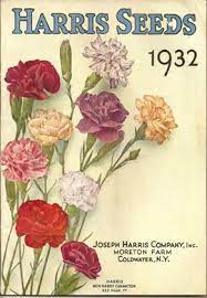 15 Vintage Seed Catalogues Abebooks Reading Copy Flower Seeds Packets Seed Catalogs Seed Packaging