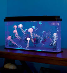 Jellyfish art nano tank amzn.to/2glaylm desktop jellyfish tanks provide a beautiful my moon jellyfish 80 gallon tank hi, in this video i will be showing you guys my 80 gallon jellyfish tank. Giant Jellyfish Aquarium With Color Changing Led Lights Hearthsong