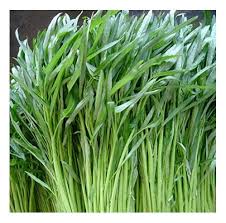 We did not find results for: 100 Fresh Bamboo Leaf Water Spinach Kangkong Seeds Buy Online In Saudi Arabia At Saudi Desertcart Com Productid 55703606