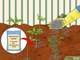 These items are shipped from and sold by different sellers. How To Acidify Soil 14 Steps With Pictures Wikihow