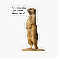 It seems though that th. Meerkat Sticker By Jon77lees Redbubble