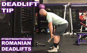 Squat Bench Press And Deadlift Tips Best Of 2019 Tony Bonvechio