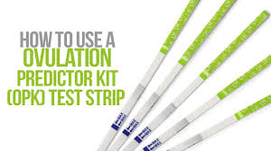 Check spelling or type a new query. How To Use An Ovulation Predictor Kit Opk Test Youtube
