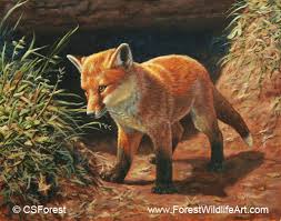 The fox coloring pages, presented here are perfect for beginners as well as intermediates. Red Fox Pictures To Color