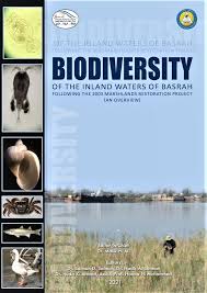 Image result for Cyperus trigonellus