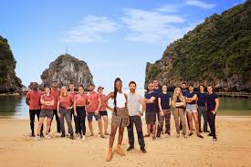 Popular Channel 4 reality show plunged into doubt as it's pulled from TV  schedules after just two series