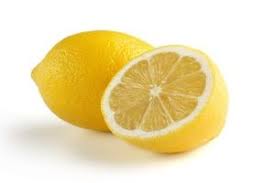Çam ağacının ekim zamanı nedir? Limon Agaci Ne Zaman Dikilir Saksi Degisim Zamani