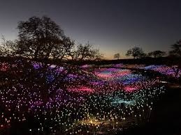 A Trip To The Sensorio Fiber Optic Lighting Installation Furniture Lighting Decor