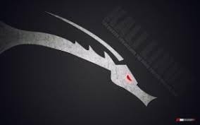 Linux for ethical hackers (kali linux tutorial). Kali Linux High Tech Wallpaper Brands And Logos Wallpaper Better