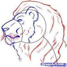 Learn to draw a lion head. How To Draw A Lion Face Step By Step Safari Animals Animals Animal Drawings Lion Sketch Drawings