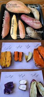 Food Tips Sweet Potato Vs Yam The Definitive Guide Including Taste Tests Recipes Results And More Food Food Hacks Recipes