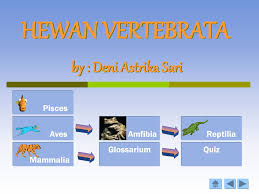 Buku zoologi vertebrata pdf, buku zoologi invertebrata pdf, download buku zoologi vertebrata pdf. 82 Download Gambar Hewan Vertebrata Hd Gambar Hewan