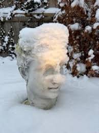 Omni Business Center