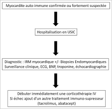 La myocardite est une inflammation au niveau du muscle cardiaque. La Myocardite Une Toxicite Rare Mais Grave Sous Immunotherapie Sciencedirect