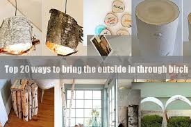 Then they package and ship them to you. Top 20 Ways To Bring The Outside In Through Birch