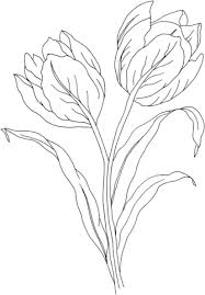 Tulip Flower Coloring Page Free Printable Coloring Pages Flower Coloring Pages Coloring Pages Tulips