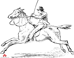 Young rider woman on bay horse performing advanced test on dressage competition. How To Draw A Person Riding A Horse Novocom Top